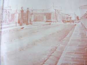 biblioteca 081 copy.jpg